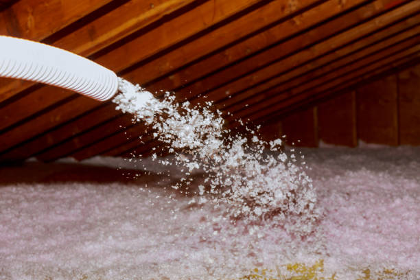 Best Insulation Removal  in Pagosa Springs, CO