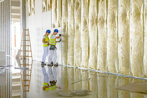 Best Insulation for Commercial Buildings  in Pagosa Springs, CO
